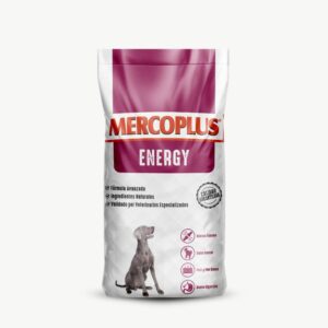 Mercoplus Energy